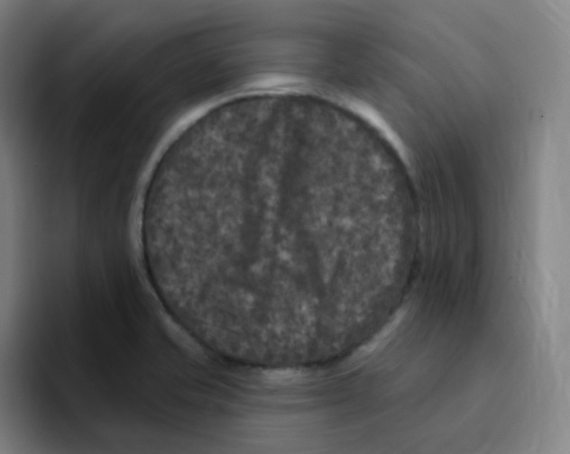 X0000094941421200712271604