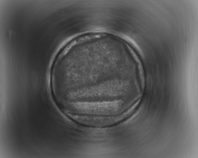 X0000094941424200712271604