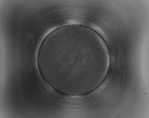 X0000094941427200712271604