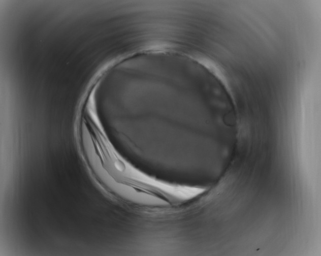 X0000094941429200712271604