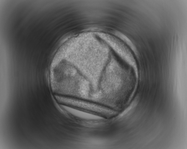 X0000094941433200712271604