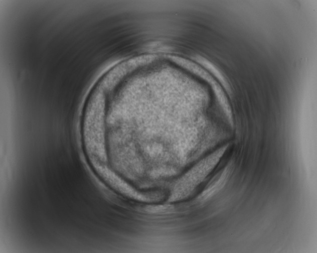 X0000094941434200712271604