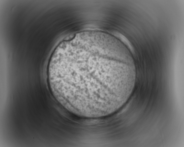 X0000094941435200712271604