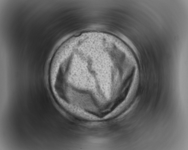 X0000094941437200712271604