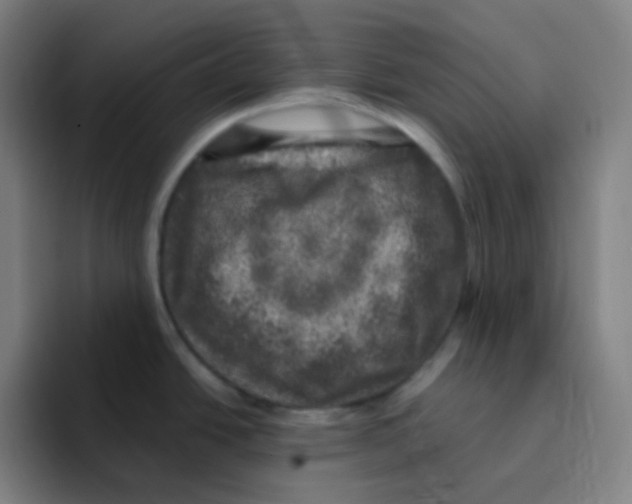 X0000094941438200712271604