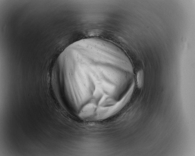 X0000094941443200712271603