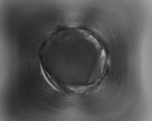 X0000094941444200712271603