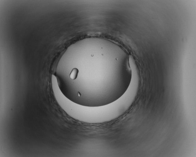 X0000094941445200712271603