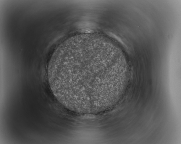 X0000094941446200712271603