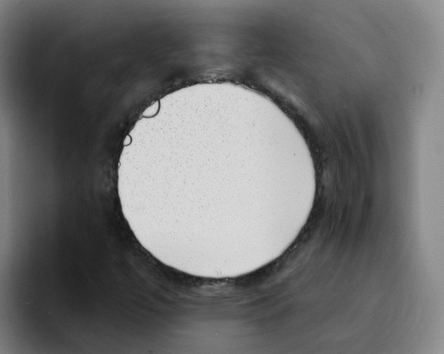 X0000094941447200712271603