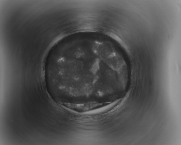 X0000094941450200712271603
