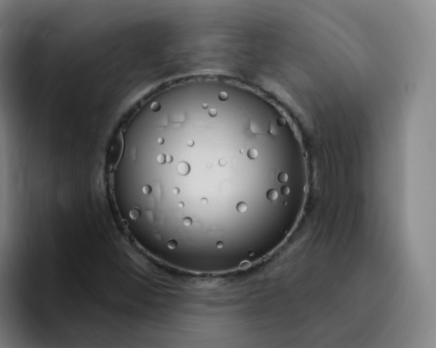 X0000094941452200712271603