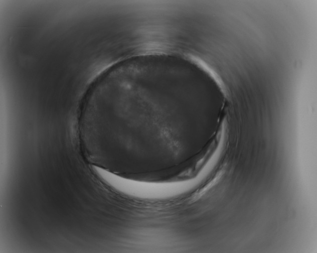 X0000094941453200712271603