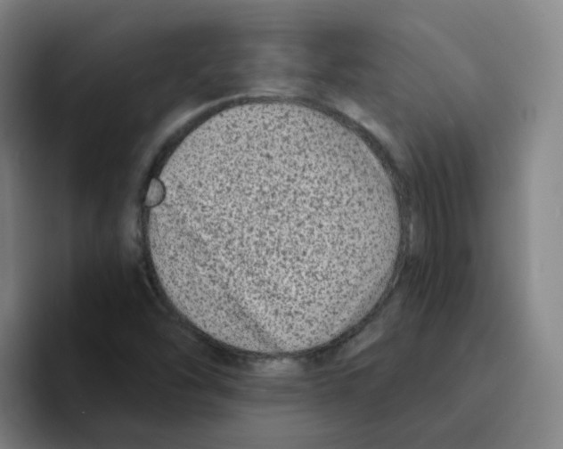 X0000094941454200712271603