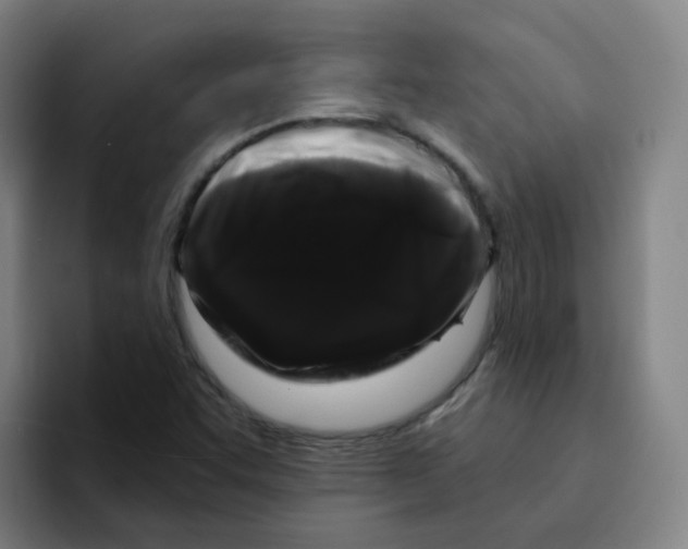 X0000094941455200712271603