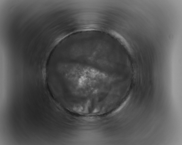 X0000094941457200712271603