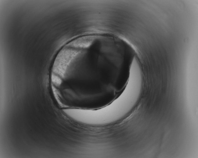 X0000094941459200712271603