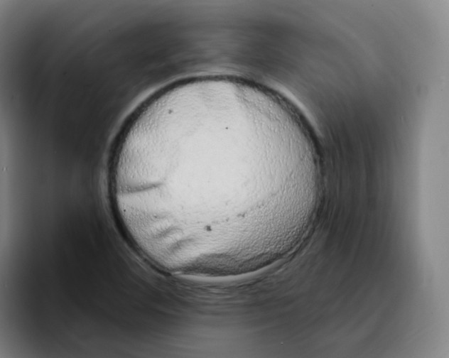 X0000094941460200712271603