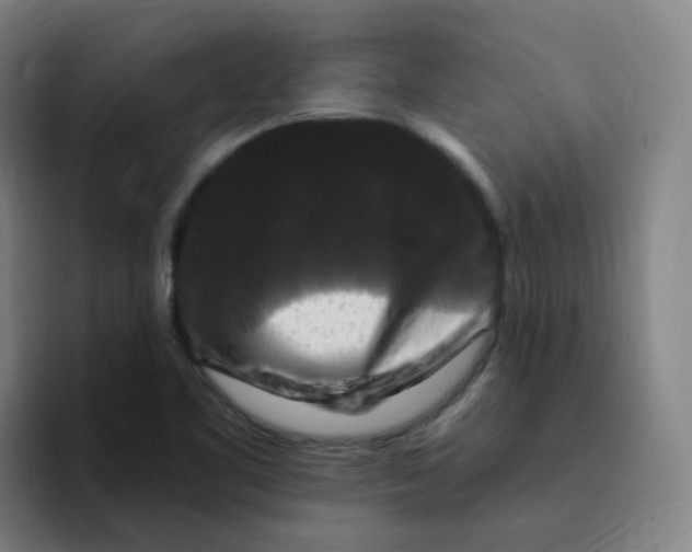 X0000094941461200712271603