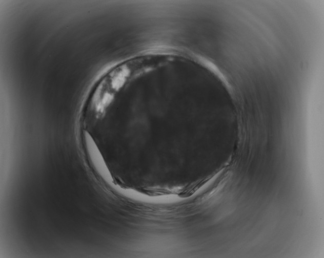 X0000094941463200712271603