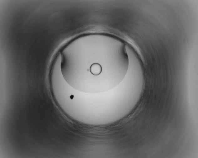 X0000094941464200712271603