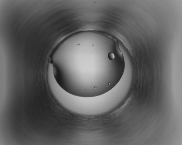 X0000094941465200712271603