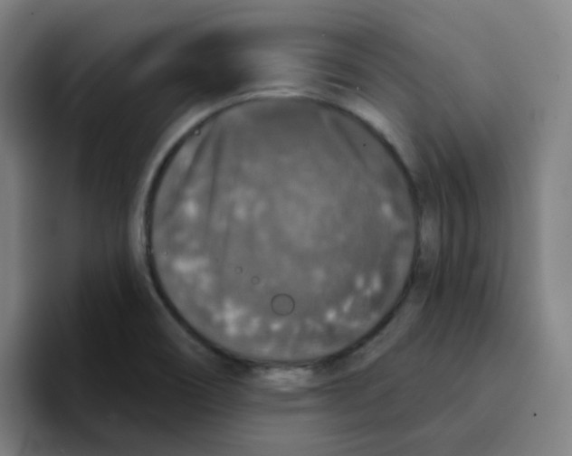 X0000094941466200712271603