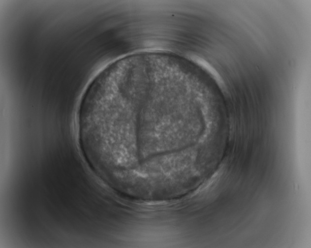 X0000094941467200712271603