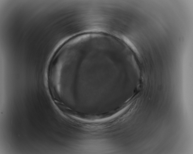 X0000094941468200712271603