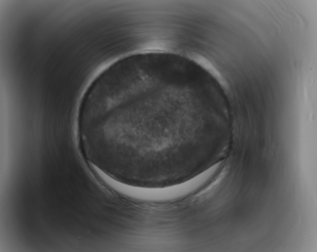 X0000094941469200712271603