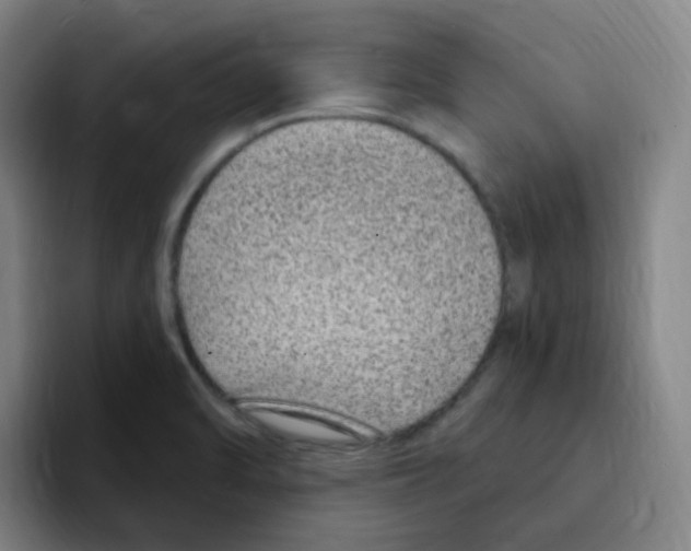 X0000094941470200712271603