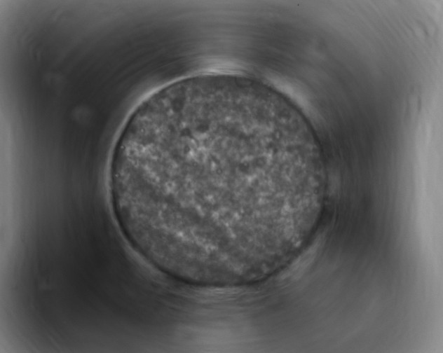 X0000094941471200712271603