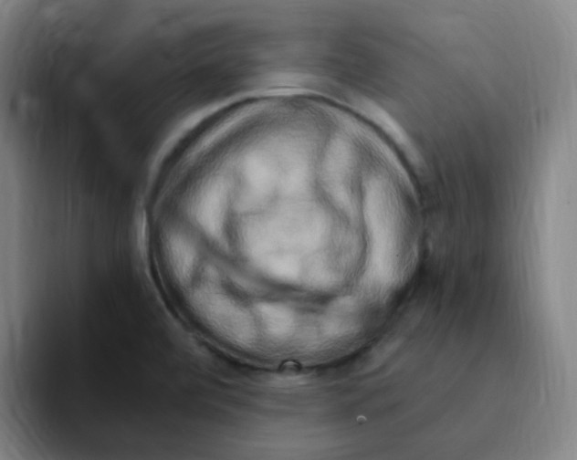 X0000094941472200712271603