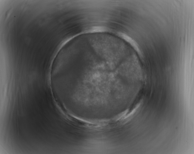 X0000094941473200712271603