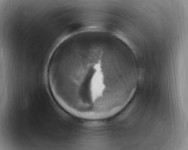 X0000094941474200712271603