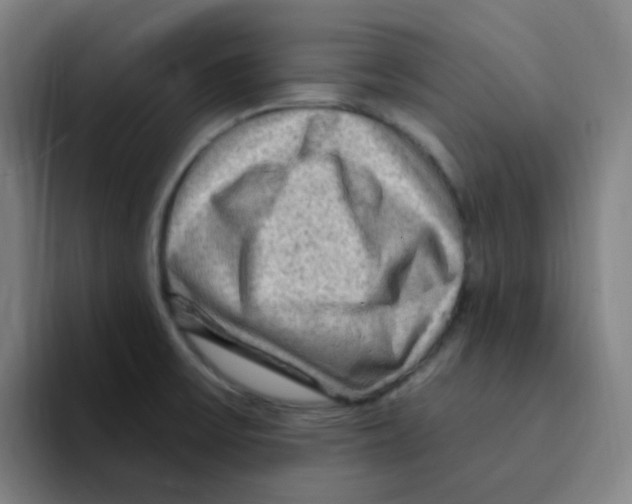 X0000094941475200712271603