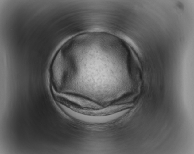 X0000094941476200712271603