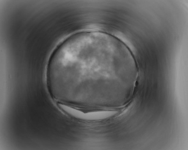 X0000094941477200712271603