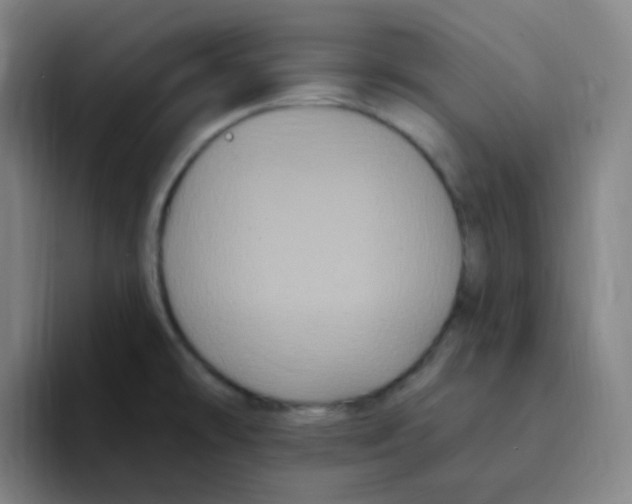 X0000094941478200712271603