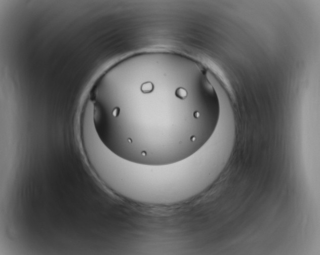 X0000094941480200712271603