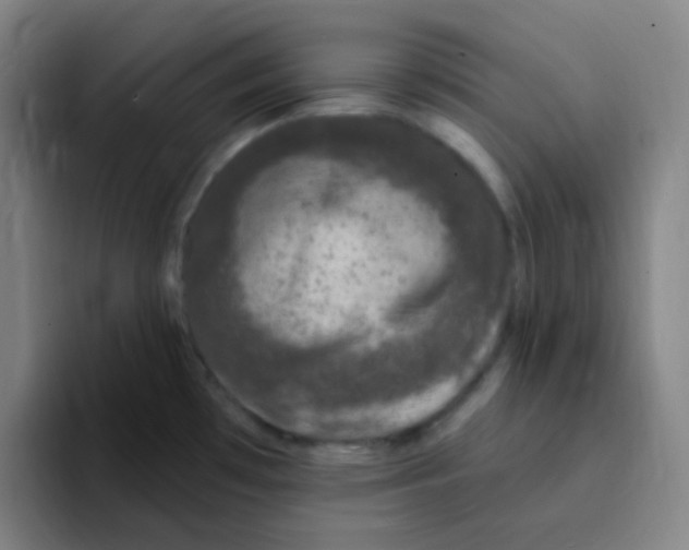 X0000094941481200712271603