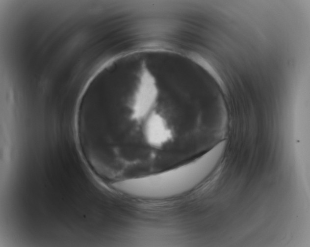 X0000094941482200712271603