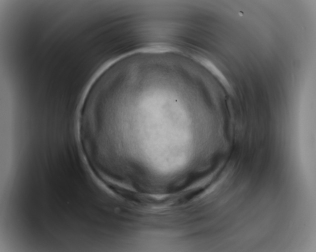 X0000094941484200712271603