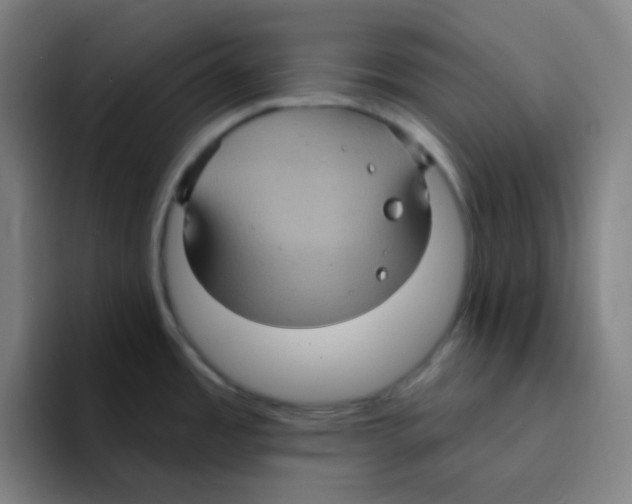 X0000094941485200712271603