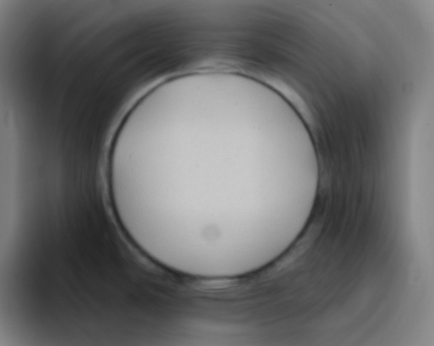 X0000094941486200712271603