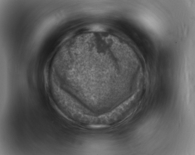 X0000094941487200712271603