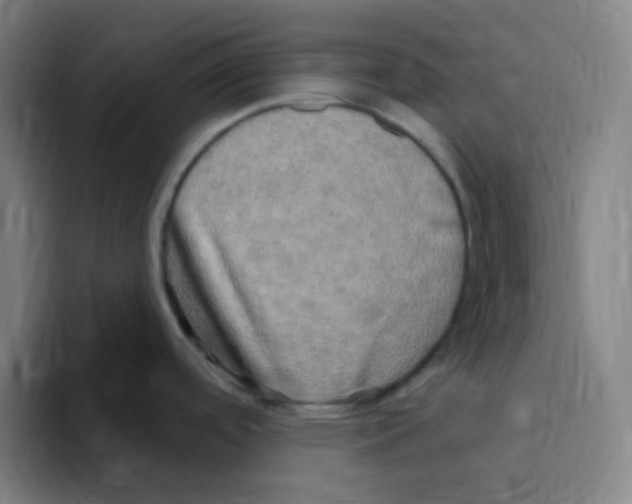 X0000094941488200712271603