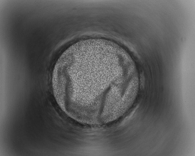 X0000094941494200712271602