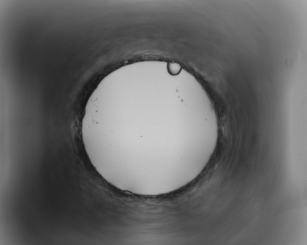 X0000094941495200712271602