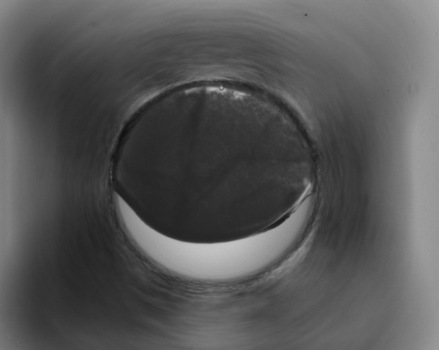 X0000094941497200712271602